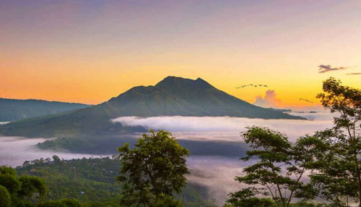 Kintamani Batur tours (Full-day)
