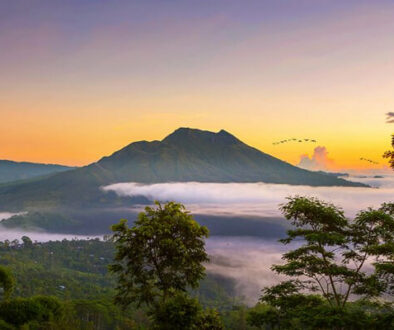 Kintamani Batur tours (Full-day)
