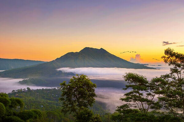 Kintamani Batur tours (Full-day)