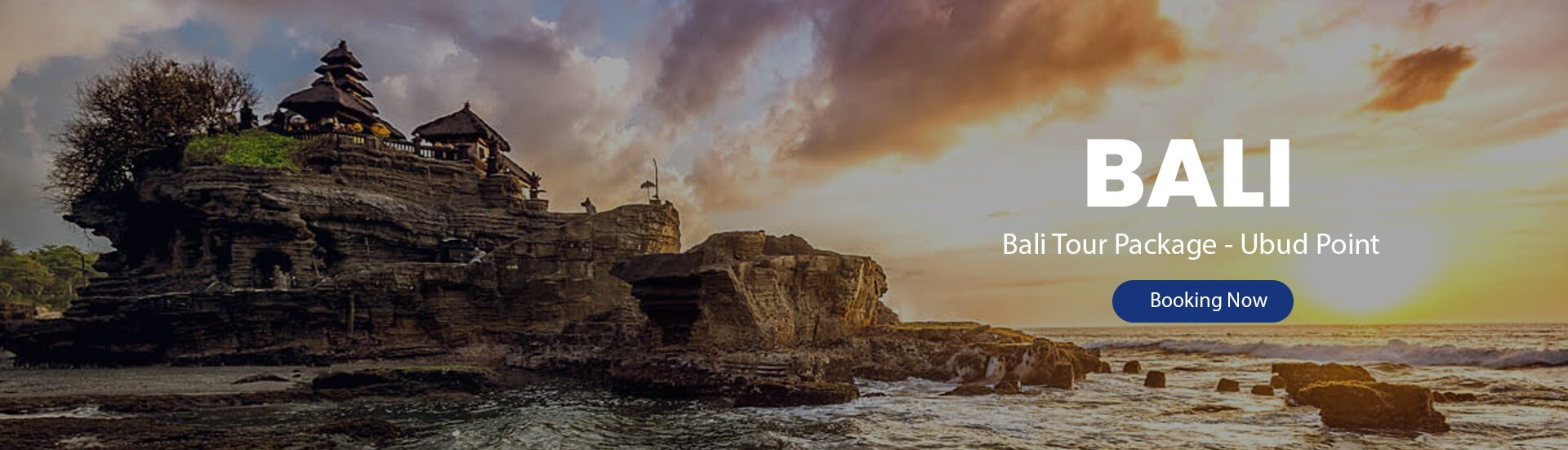 ubud point - half day tours
