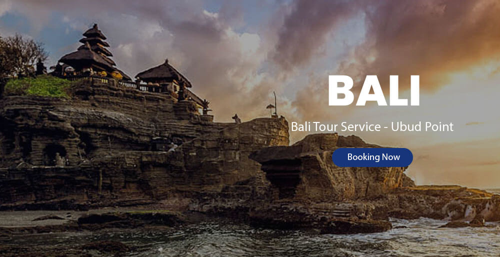 ubud point - half day tours2